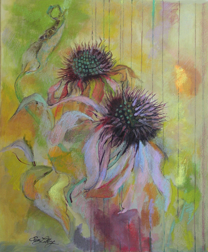 Purple Echinacea
