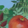 Canned Apples