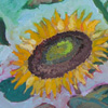 Field Flowers